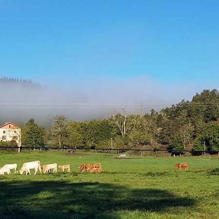 Le Riolet Panzió Marsac-en-Livradois Kültér fotó